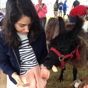 J. Crew Petite Lightweight Jacket